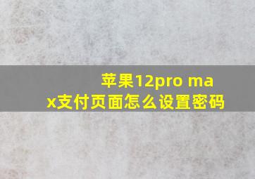 苹果12pro max支付页面怎么设置密码